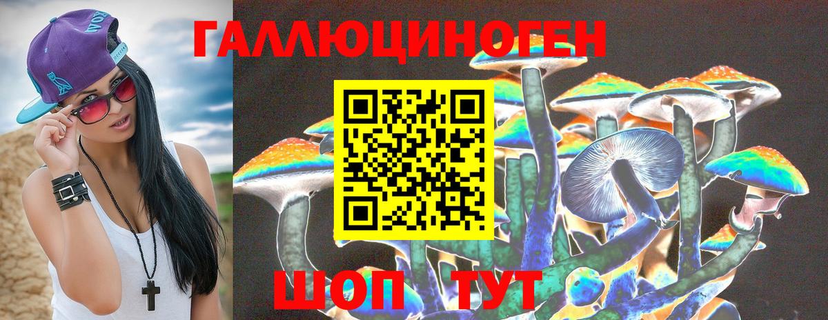 Рассказово  Псилоцибиновые грибы мухоморы  Вход с VPN 